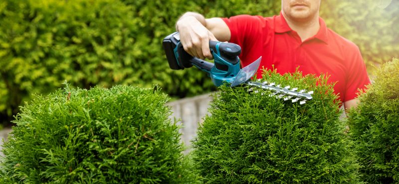 Tree and Bush Trimming