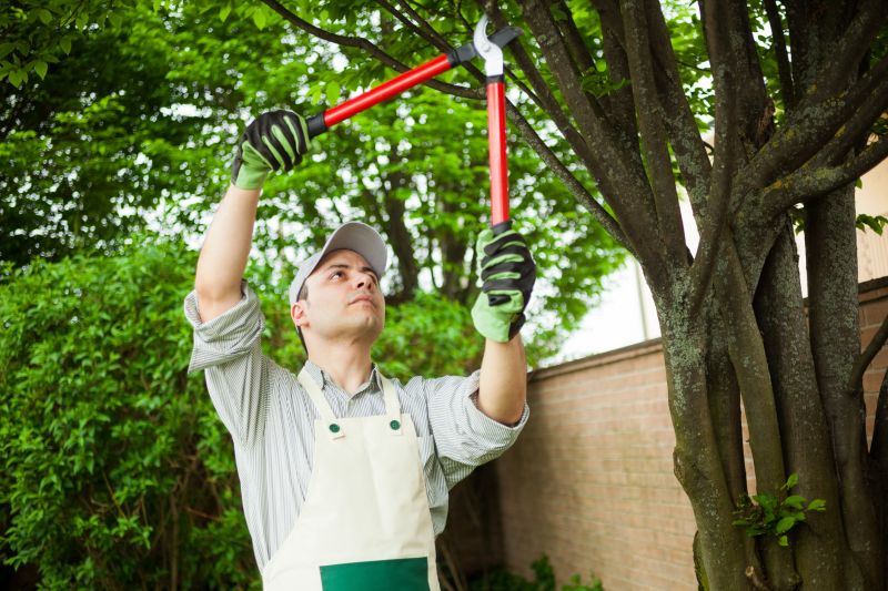 Inside Tree Trimming