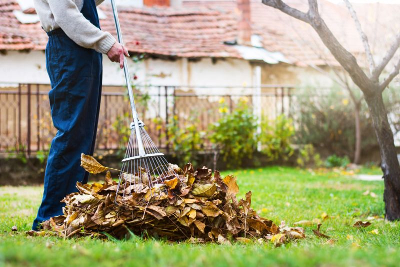 Leaf Raking Across the Lawn