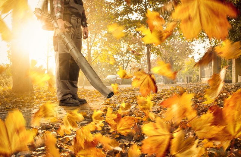 Leaf Blowing for Precise Cleanup
