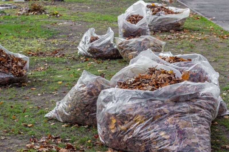 Leaves Gathered in Bags