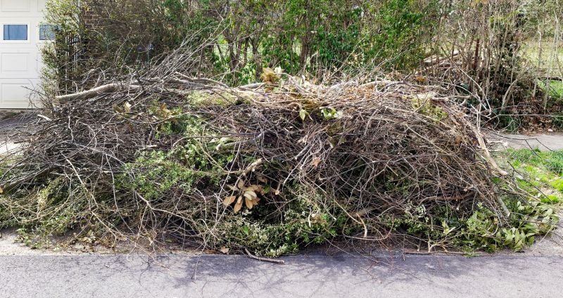 Tree Debris Disposal