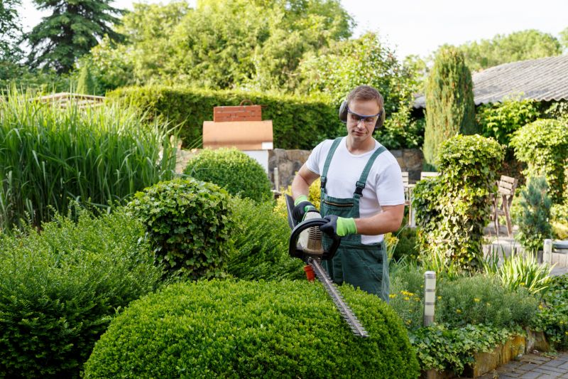 Landscape Pruning Service in Rockwall, TX
