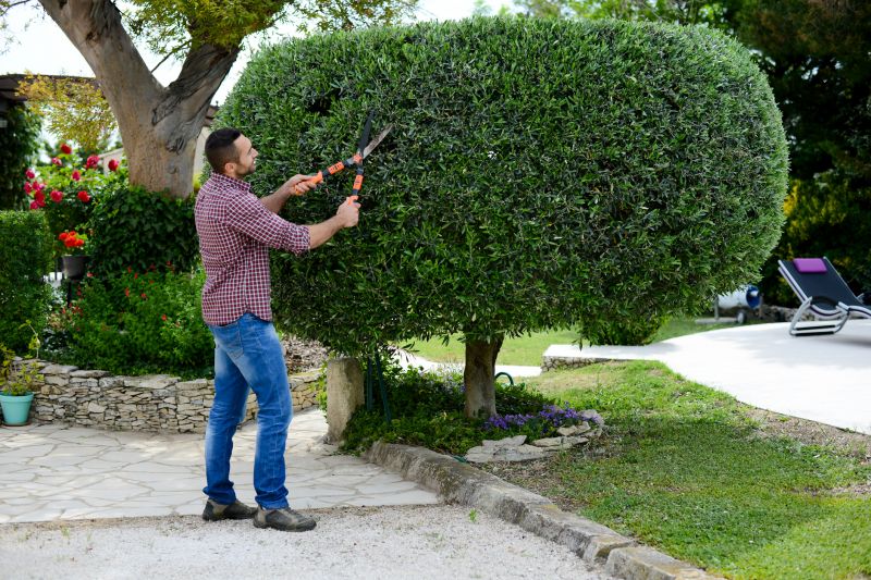 Tree And Bush Trimming