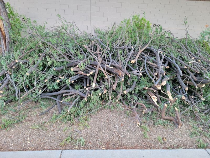 Tree And Bush Trimming