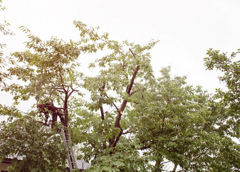 Warranty & Quality Checks