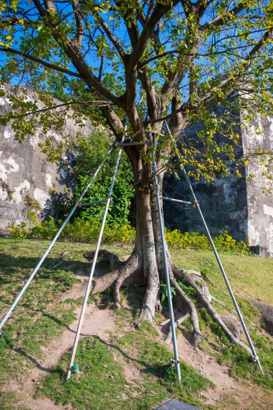 Structural Correction